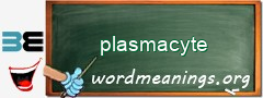 WordMeaning blackboard for plasmacyte